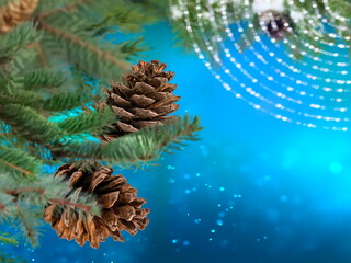 Christmas tree branch with cone on blue blurred festive bokeh confetti snow flakes on background copy space template banner 