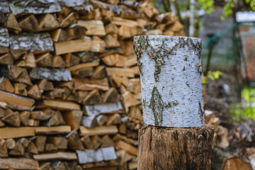 Wood for burning in rural area of Masovia region of Poland
