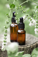 A bottles of mint oil on a tree stump. Essential oil, collagen serum for beauty. Cosmetics with natural ingredients.