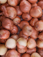 group onions sold in supermarkets
