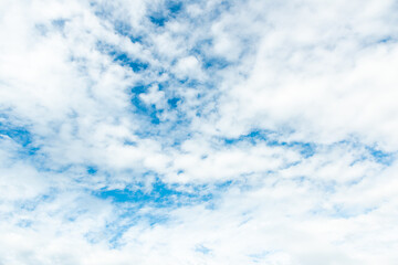 Obraz premium 夏の雲