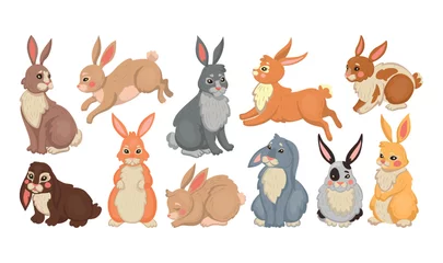 Fotobehang Bunny rabbit and easter hare. Cute animal drawing different breeds, farm baby pet set, color happy forest character, standing jumping and sitting rodent. Vector cartoon collection © Natalia
