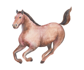 Horse isolated on white background. Watercolor illustration of horse. Chinese Zodiac animals concept