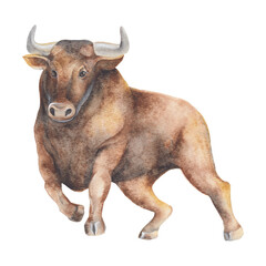Ox isolated on white background. Watercolor illustration of ox. Chinese Zodiac animals concept