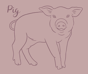 Fototapeta premium Contour pig sketch with hand lettering. Line art vector illustration of piglet. Chinese Zodiac animals concept