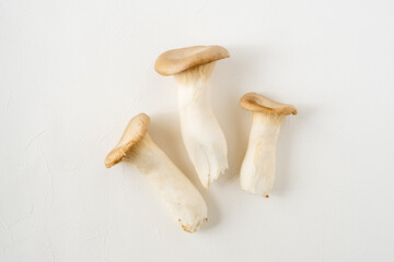 エリンギと白背景