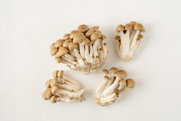 ぶなしめじと白背景