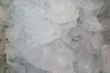 製氷皿にたくさん入っている氷4