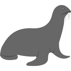Harbor Seal Vector Icon 