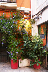 small Spanish outdoor cozy cafe with pot plants design and red table close up photo. High quality photo
