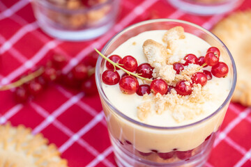 Dessert mit Johannisbeeren, Vanillepudding und Keks auf roter Tischdecke