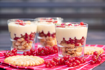 Dessert mit Johannisbeeren, Vanillepudding und Keks auf roter Tischdecke