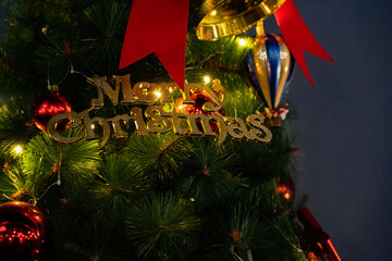 크리스마스 트리