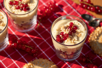 Dessert im Glas mit Johannisbeeren, Vanillecreme und Keks auf einer roten Tischdecke im Sonnenlicht