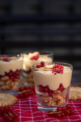 Dessert im Glas mit Johannisbeeren, Vanillecreme und Keks auf einer roten Tischdecke im Sonnenlicht