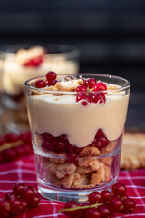 Dessert im Glas mit Johannisbeeren, Vanillecreme und Keks auf einer roten Tischdecke im Sonnenlicht