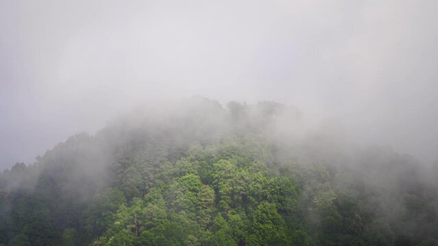 fog rolling across in smoke waves in front of green lush trees and colorful houses in the himalayas in uttarakhand showing hill stations popular with tourists like darjeeling, wynad lonavla