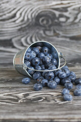 Ripe blueberries in a metal bucket. The bucket is overturned, the berries are scattered. On pine boards. Close-up.