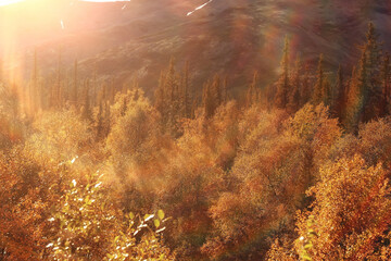 abstract landscape background autumn sun glare defocus bokeh, view sun background