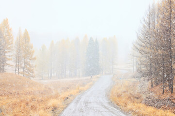Obraz na płótnie Canvas winter highway snowfall background fog poor visibility