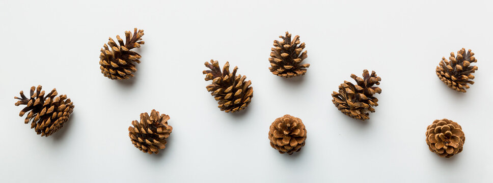 Christmas pine cones on colored paper border composition. Christmas, New Year, winter concept. Flat lay, top view, copy space