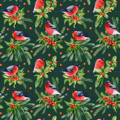 Bullfinch birds leaves and holly berries, fir branches, Seamless pattern, Holliday watercolor painting illustration