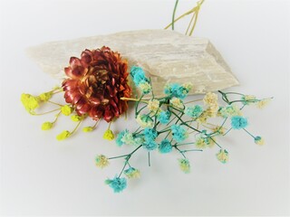 Stones with flowers on a white background