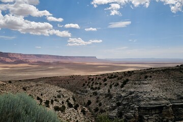 landscape in the desert