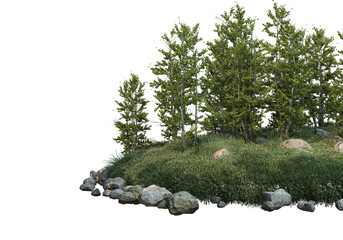 Coniferous forest on a transparent background  © jomphon