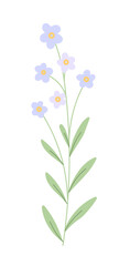 Obraz premium Flower with blooming bud vector.
