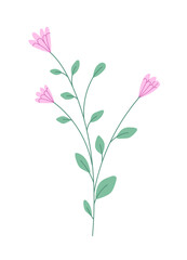 Flower with blooming bud vector.