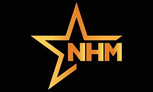 NHM golden luxury star icon three letter logo design vector template. royal logo | luxury logo | jewelry logo | premium logo | iconic logo | Victoria logo |
