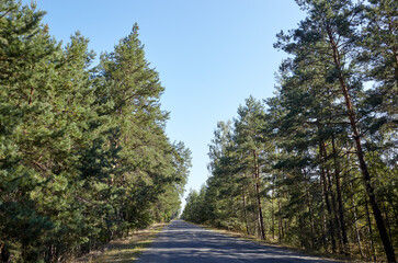 Asphalt crossroad suburban road. Road with green trees against cloudy blue sky at rural Europe