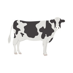 Cow illustration. Animal illustration.