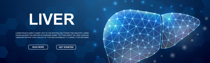 Liver polygonal horizontal banner. Hepatitis low poly symbol for head promotion banner. Organ anatomy design template illustration concept.