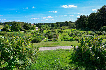 overlooking lots of flowers and vegetables in public garden