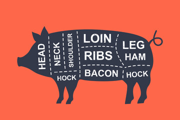 Pig diagram cuts. Butcher scheme poster. Cuts of pork meat. Meat diagram scheme illustration. Farm animal silhouette. © Lifeking