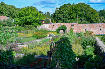 Fototapeta na wymiar overlooking lots of flowers and vegetables in public garden
