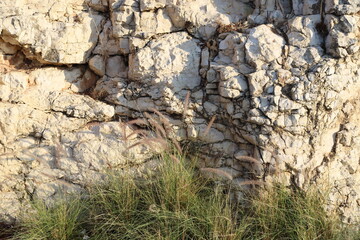 Texture of rocks and stones in a city park in Israel.