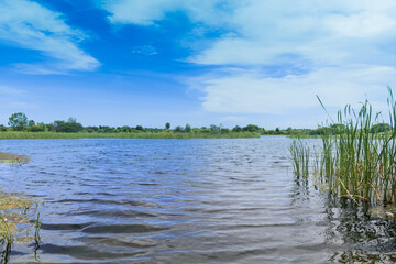 lake and sky in the morning light.