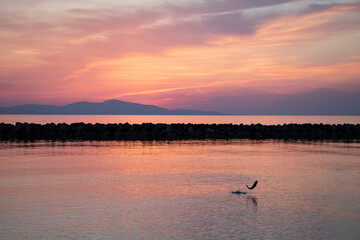 夕焼けに飛ぶ魚