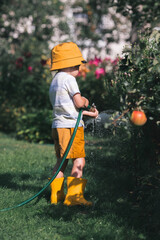 A little boy is playing with a garden hose in the backyard on a hot sunny day. A preschool child is watering flowers in the garden. The concept of raising a child and teaching him to work.