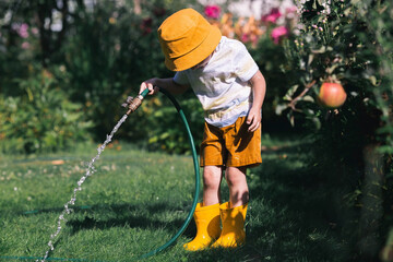 A little boy is playing with a garden hose in the backyard on a hot sunny day. A preschool child is watering flowers in the garden. The concept of raising a child and teaching him to work.
