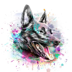 Sierkussen abstract colored dog muzzle isolated on colorful background color art © reznik_val