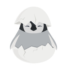 Baby penguin hatched in egg