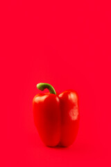 Paprika. Pepper red. Bell pepper isolated on red background . Sweet red pepper. With clipping path. Full depth of field..