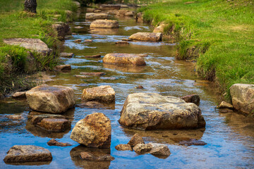 夏の千坊川砂防公園の小川－２(山口県山口市秋穂)