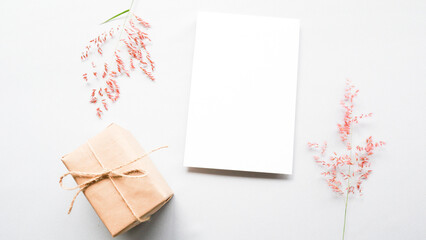 White blank card, gift box and grass flower on gray background