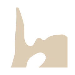 Beige & White Background