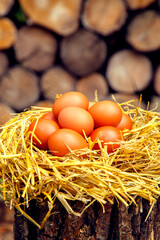 Natural chicken eggs on different backgrounds. Chicken eggs on a hemp, table, straw. The concept of food, diet, cooking.